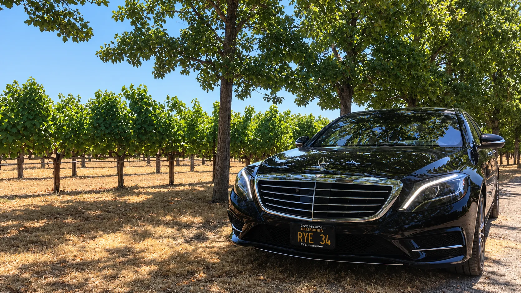 Black Mercedes-Benz S-Class parked in a vineyard
