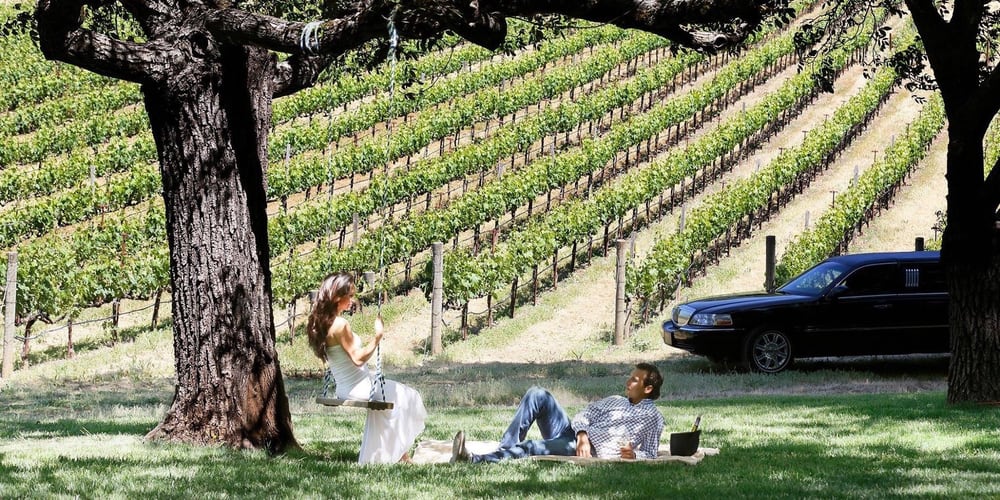 Couple picnicking in a vineyard with their chauffeured sedan nearby