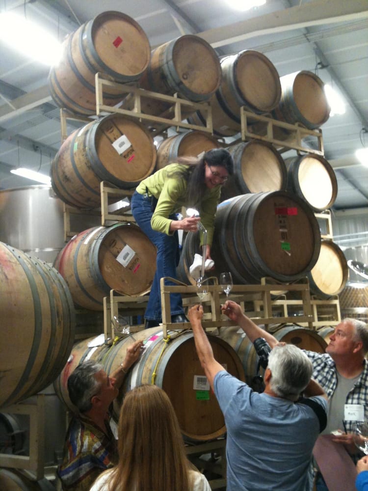 Guests tasting wine from the barrel in a winery cellar